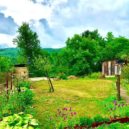 Guesthouse D&D Licko Petrovo Selo Extérieur photo