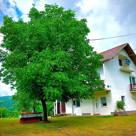 Guesthouse D&D Licko Petrovo Selo Extérieur photo