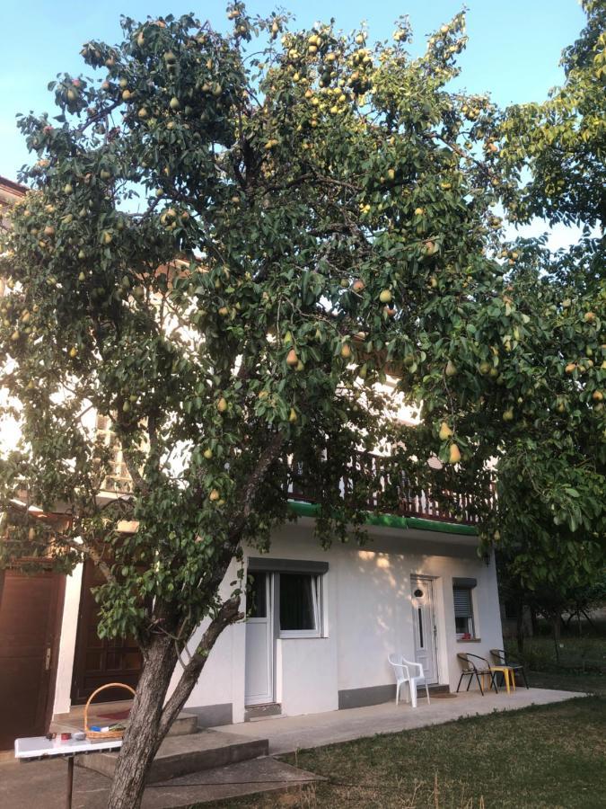 D&d Appartement Licko Petrovo Selo